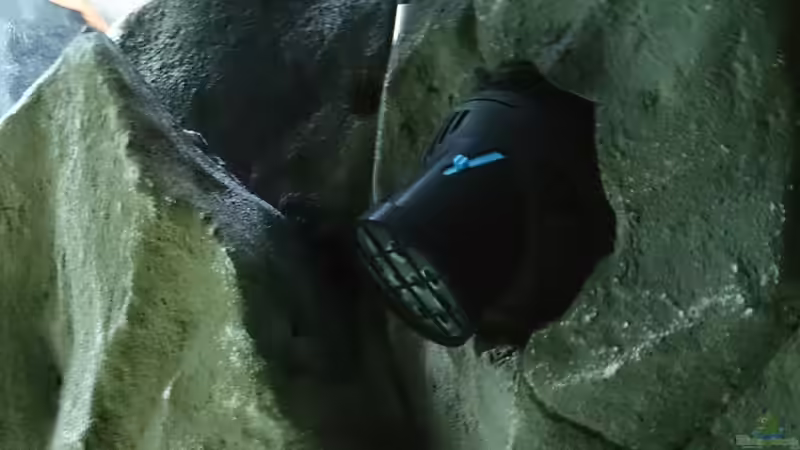 Technik im Aquarium Tropheus Pfütze (nur noch als Beispiel) von Warsteiner (17)