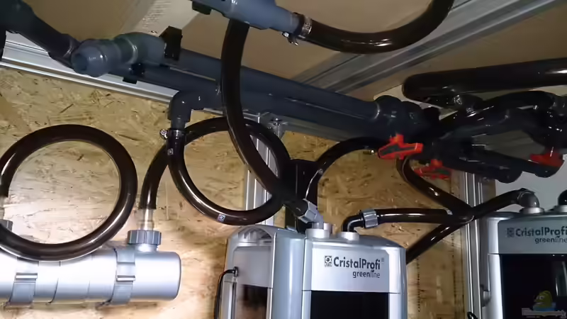 Technik im Aquarium Tropheus Pfütze (nur noch als Beispiel) von Warsteiner (18)