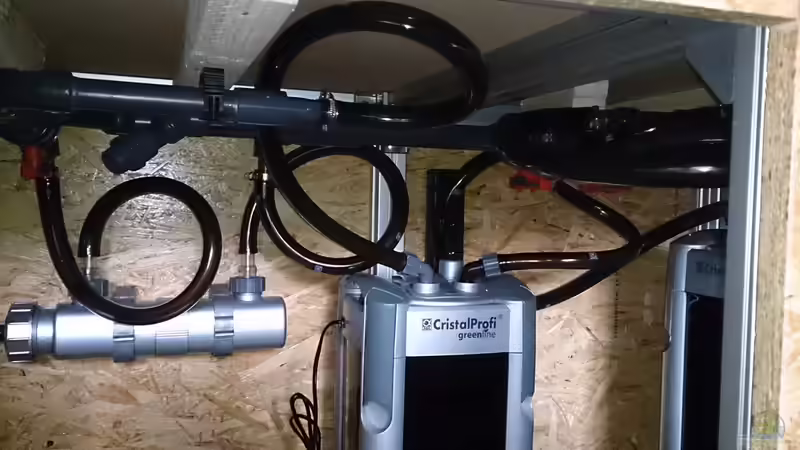 Technik im Aquarium Tropheus Pfütze (nur noch als Beispiel) von Warsteiner (19)