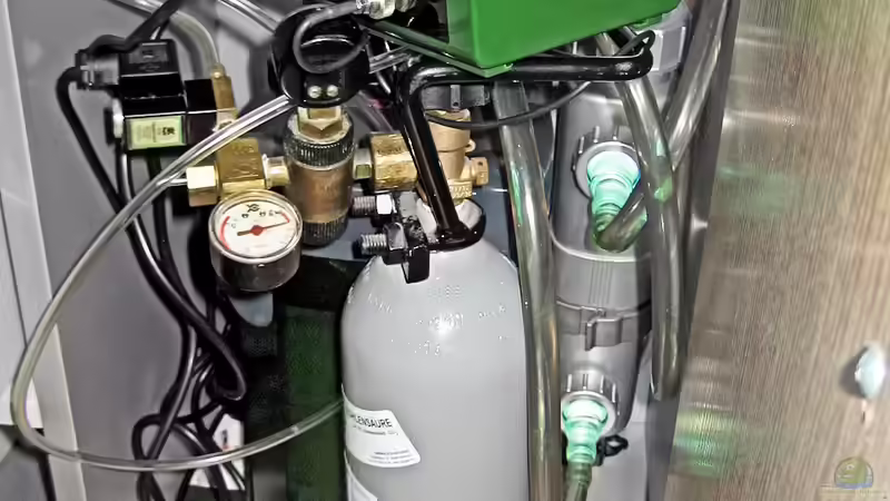 Technik im Aquarium Tümpel von Sebastian Philipp (18)