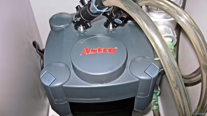 Technik im Aquarium Tümpel von Sebastian Philipp (19)