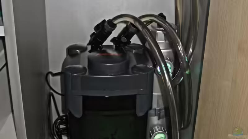 Technik im Aquarium Tümpel von Sebastian Philipp (20)