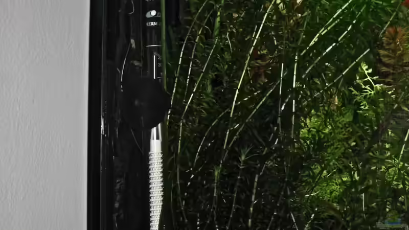 Technik im Aquarium Tümpel von Sebastian Philipp (23)