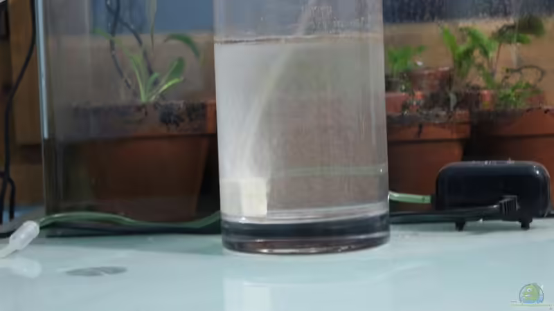 Technik im Aquarium Two forests von lomarraco (105)