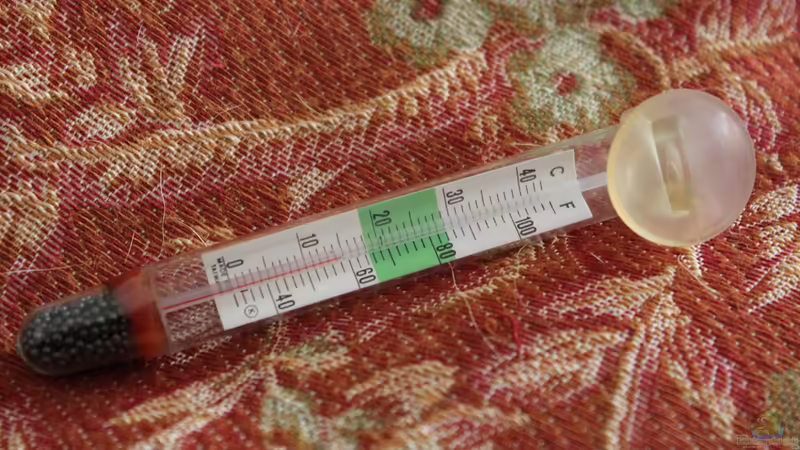 Technik im Aquarium Two forests von lomarraco (87)