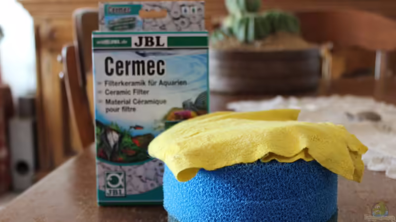 Technik im Aquarium Two forests von lomarraco (89)