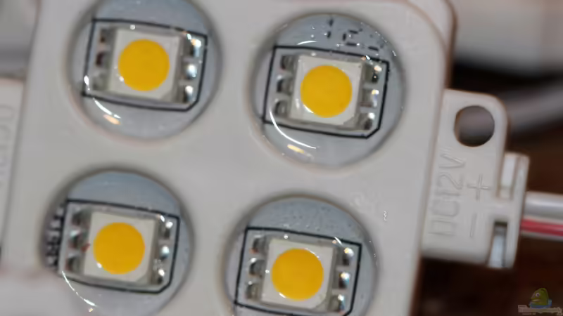 Technik im Aquarium Two forests von lomarraco (93)