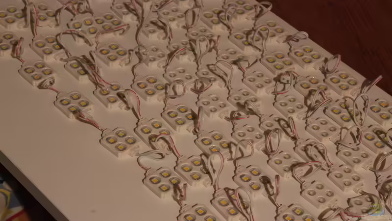 Technik im Aquarium Two forests von lomarraco (95)