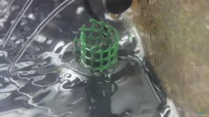 Technik im Aquarium Two forests von lomarraco (99)