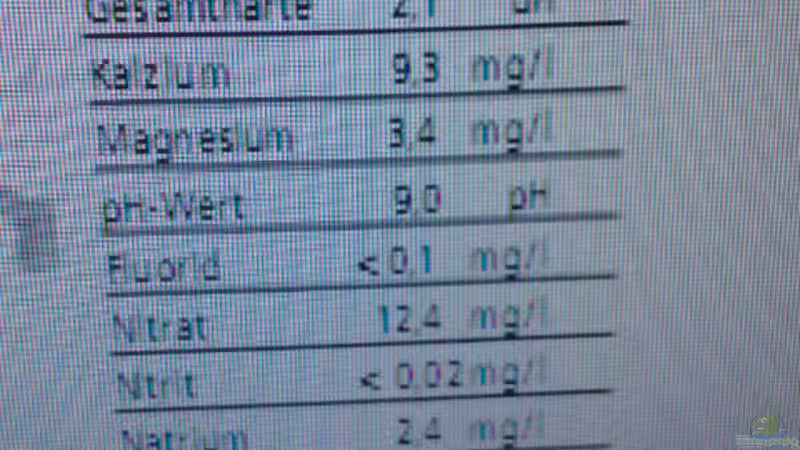 Technik im Aquarium Ufernahe Übergangszone von The Duke of woods (27)