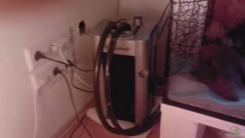 Technik im Aquarium Ufernahe Übergangszone von The Duke of woods (29)