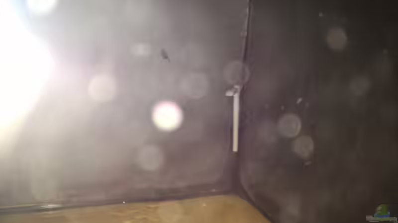 Technik im Aquarium Untertage Thema(Aufgelöst) von Nelle (7)