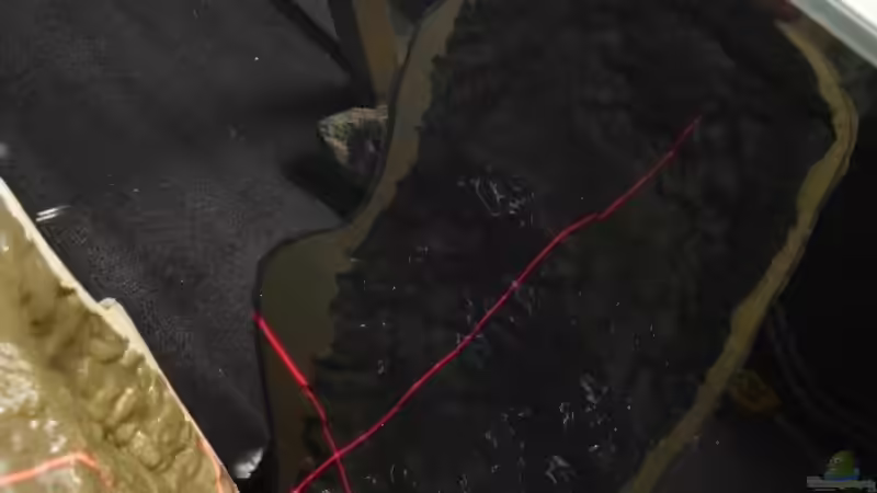 Technik im Aquarium Unterwasser-Höhle von Petr Novak (22)