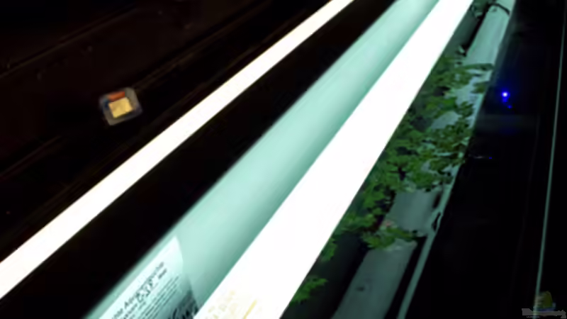 Technik im Aquarium Usedom Becken von Marcel-Usedom (6)