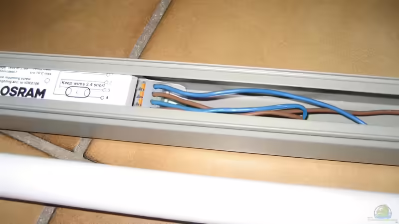 Technik im Aquarium Utaka von Delta (22)