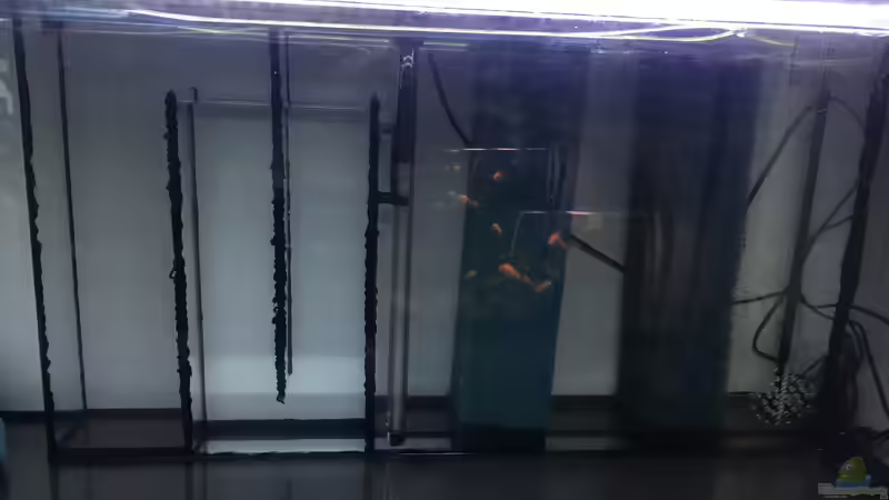 Technik im Aquarium Voralpen Afrika von Tobias Sanktjohanser (20)