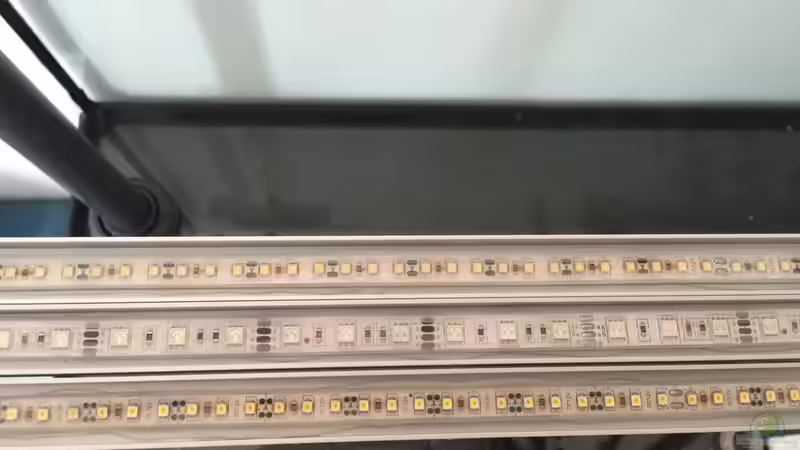 Technik im Aquarium Voralpen Afrika von Tobias Sanktjohanser (21)