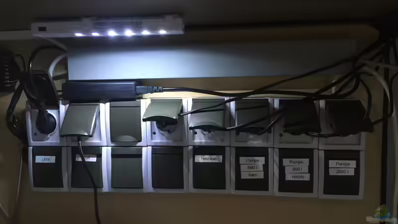 Technik im Aquarium Voralpen Afrika von Tobias Sanktjohanser (22)