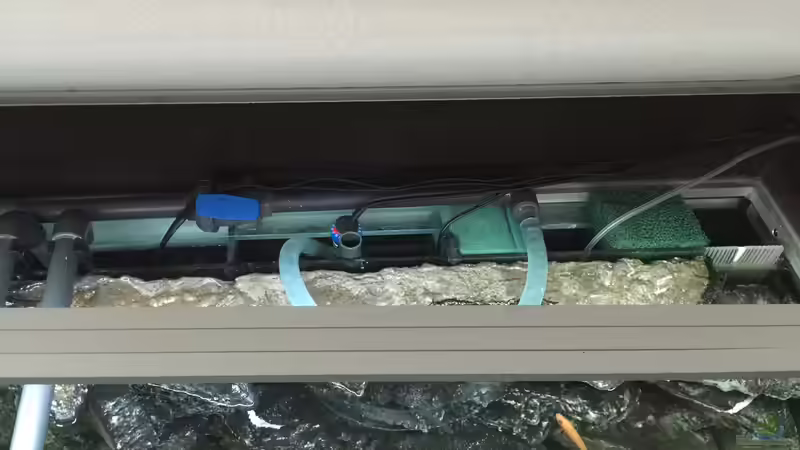 Technik im Aquarium Voralpen Afrika von Tobias Sanktjohanser (24)