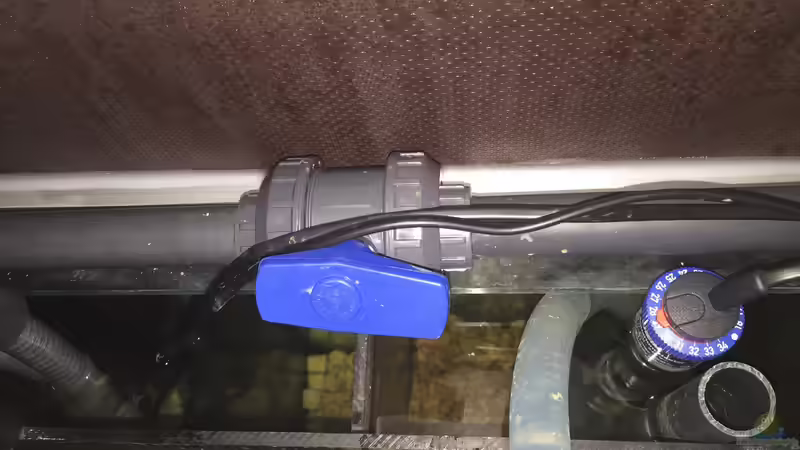 Technik im Aquarium Voralpen Afrika von Tobias Sanktjohanser (25)