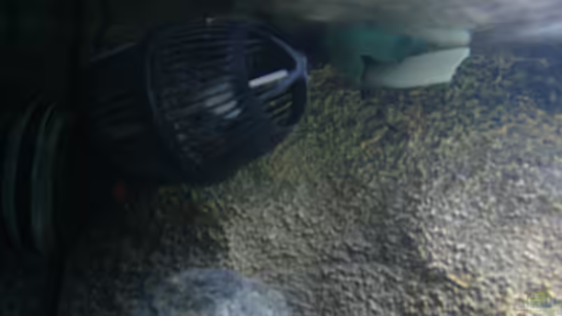 Technik im Aquarium Walhall von T H O R (27)