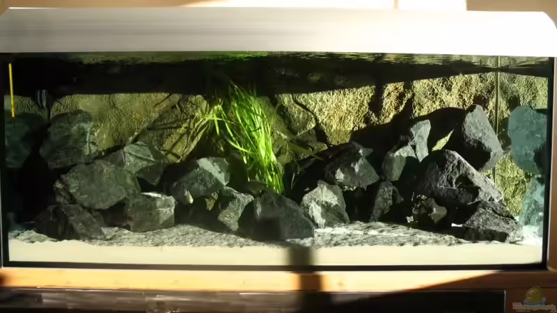 Technik im Aquarium Walhall von T H O R (28)