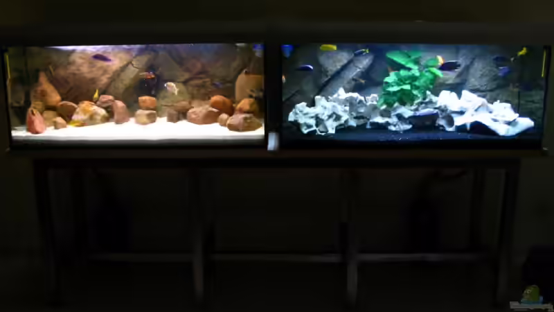 Technik im Aquarium Walhall von T H O R (29)
