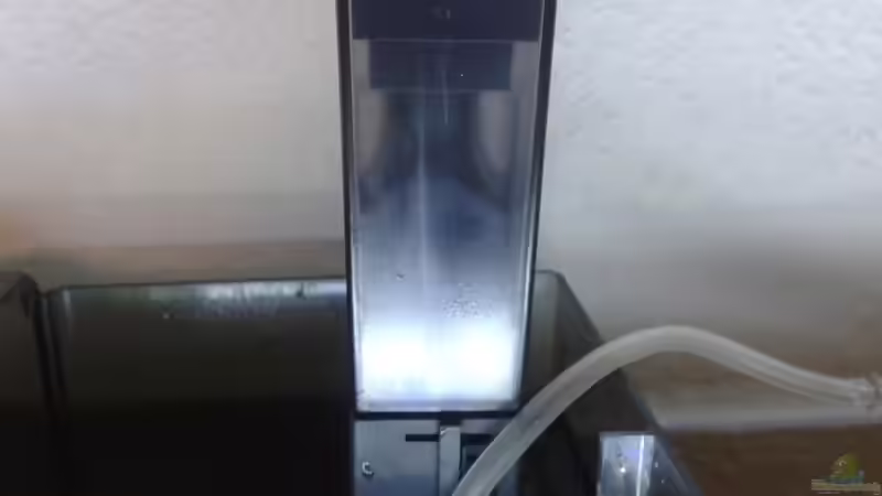 Technik im Aquarium Weichkorallenbecken von Torsten Bullmahn (50)