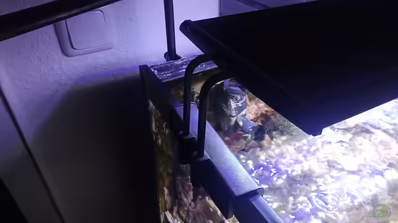 Technik im Aquarium Weichkorallenbecken von Torsten Bullmahn (54)