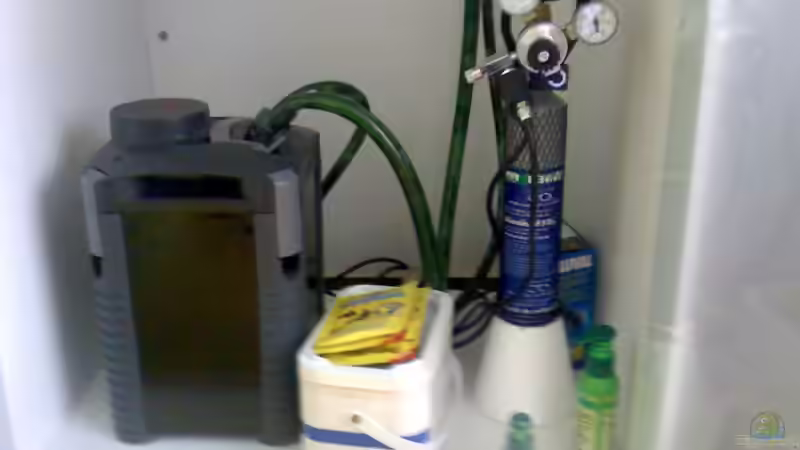 Technik im Aquarium westafrika (nur noch als Beispiel) von ml69 (18)