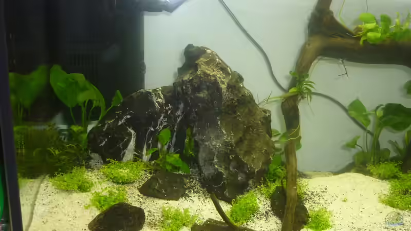 Technik im Aquarium Wilderstrand von Stefan Rohland (13)