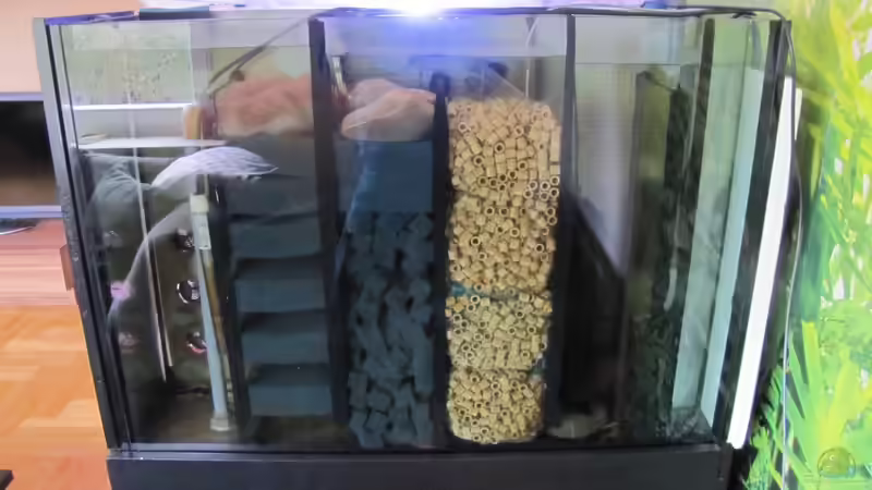 Technik im Aquarium Wildes Wohnzimmer ( Nur noch als Beispiel) von Leo-FAN (20)