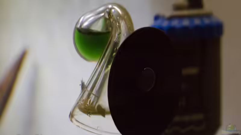 Technik im Aquarium Wirbellose Wohnzimmerdeko von GoreSlayer (20)