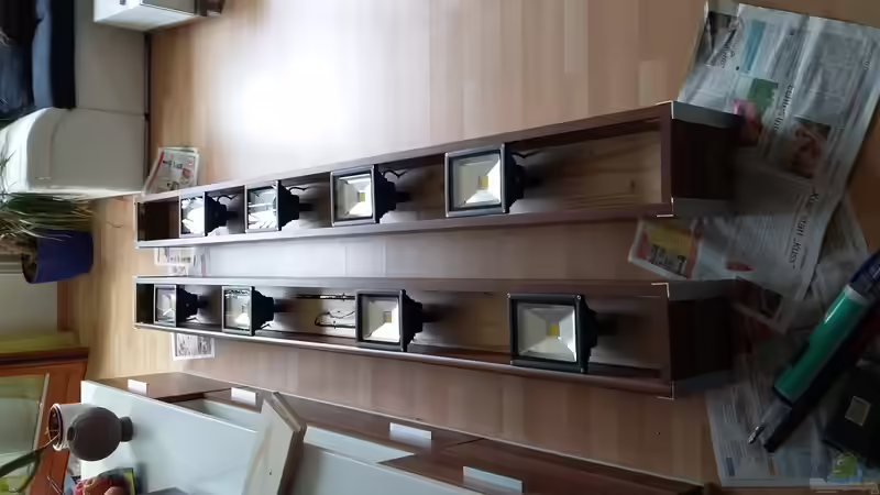 Technik im Aquarium Wohnzimmer Uferzone von T-Aquatics (20)