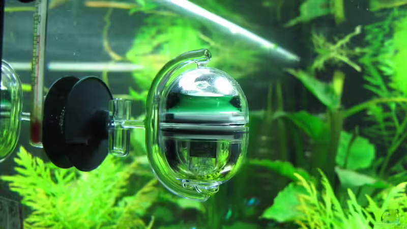 Technik im Aquarium WT 詠 ewiger Frühling von Sarah (35)