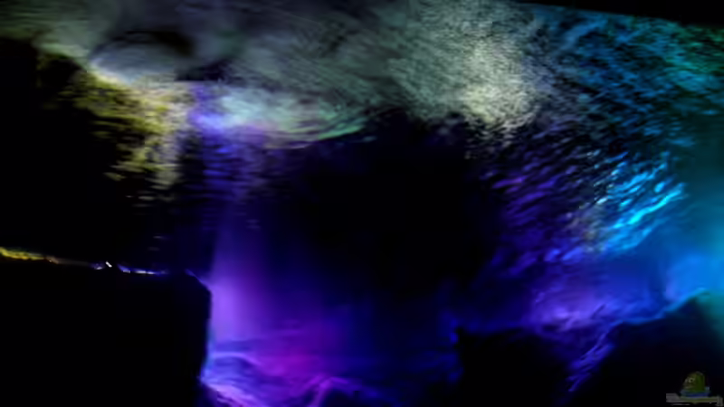 Technik im Aquarium Yellowhome von Franek (32)