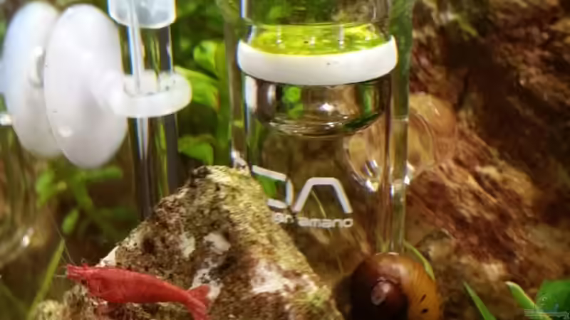 Technik im Aquarium Zen Artist von Hanni Zosel (20)