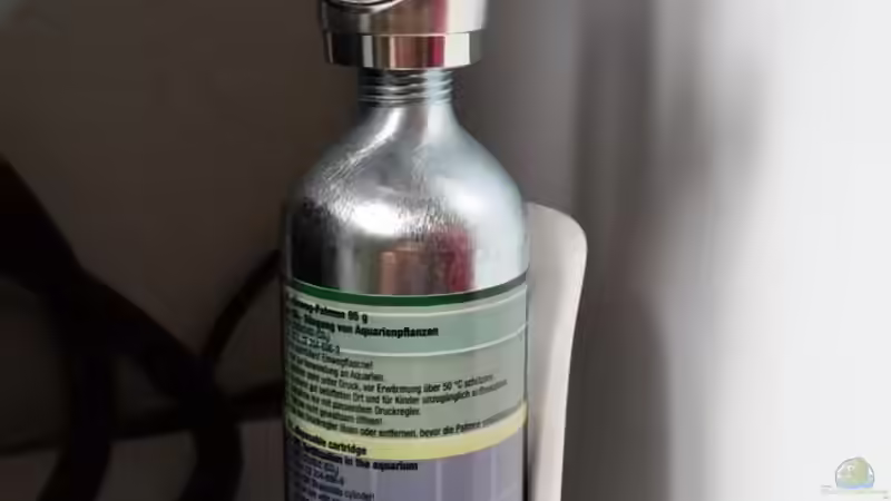 Technik im Aquarium Zen Artist von Hanni Zosel (22)