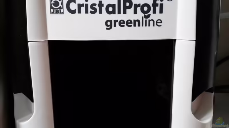 Technik im Aquarium Zen Artist von Hanni Zosel (24)