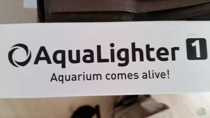 Technik im Aquarium Zen Artist von Hanni Zosel (26)