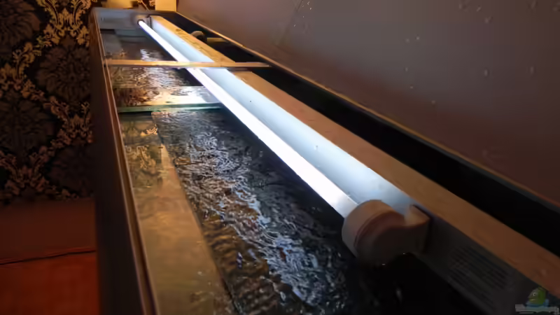 Technik im Aquarium ZU VERKAUFEN OPEN FREE TERRITORY von Sternenseeträumer (32)