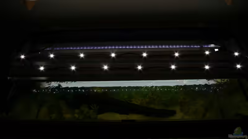 Technik im Aquarium zurück zu den Anfängen (aufgelöst und verkauft) von Susanne Axt (12)