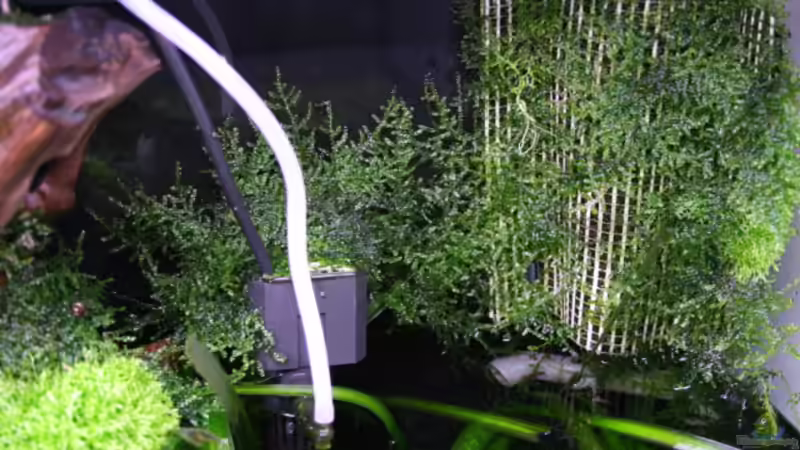 Technik im Becken rechts von bull70 (13)