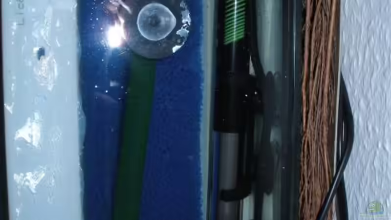 Technik im Filter von der Seite von Maja Knodel (18)