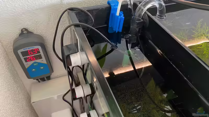 Technik im und neben dem Aquarium von Michinet (16)
