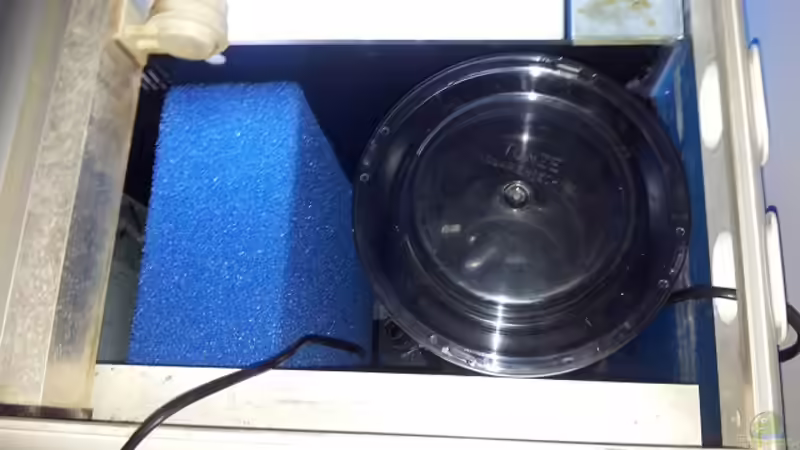 Technik Kammer mit Abschäumer von Christian Höse (22)