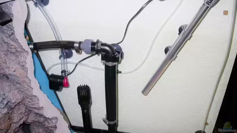 Technik rechts: Außenfilter Ein-/Auslauf, Heizung, Pumpe für Wasserwechsel mit von Harald Götz (33)