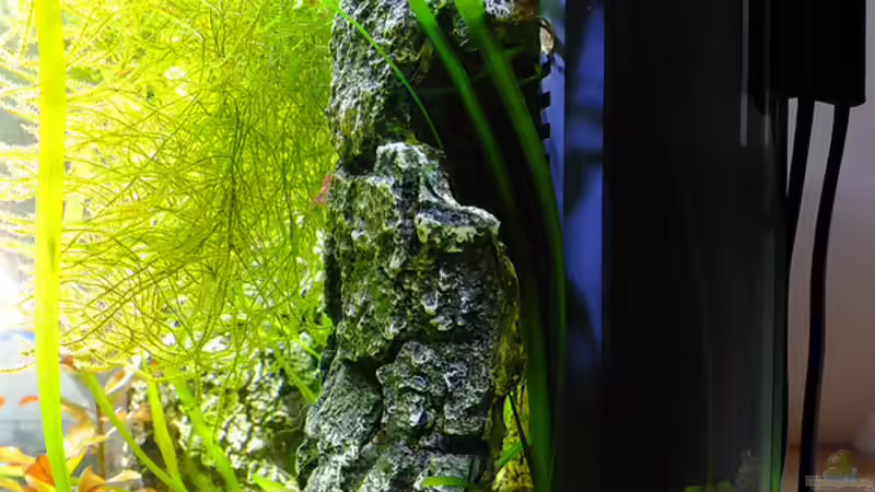 Technik verborgen unter Deko rechte Seite von avronaut (9)