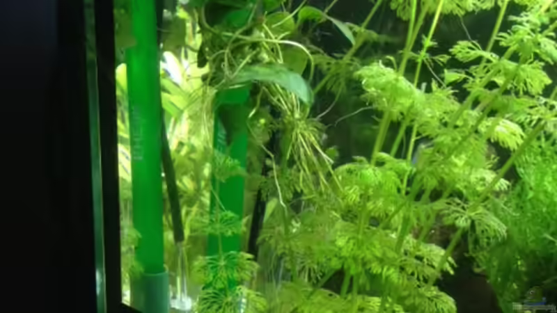 Technik versteckt... von Tarmina (30)