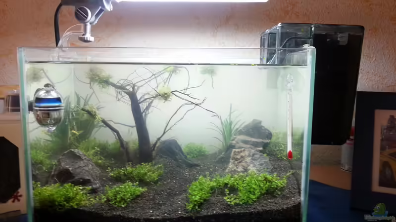 Technik von Schnegge (12)